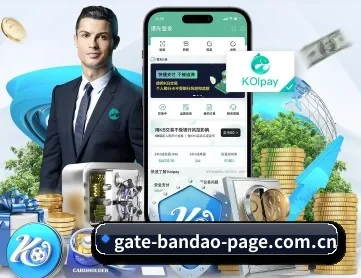 半岛体育平台 APP 深度功能